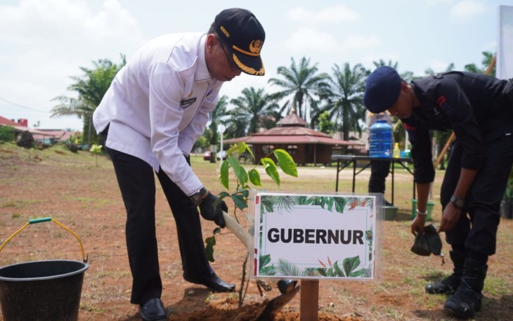Pemprov Apresiasi Penanaman 10 Juta Pohon se-Indonesia