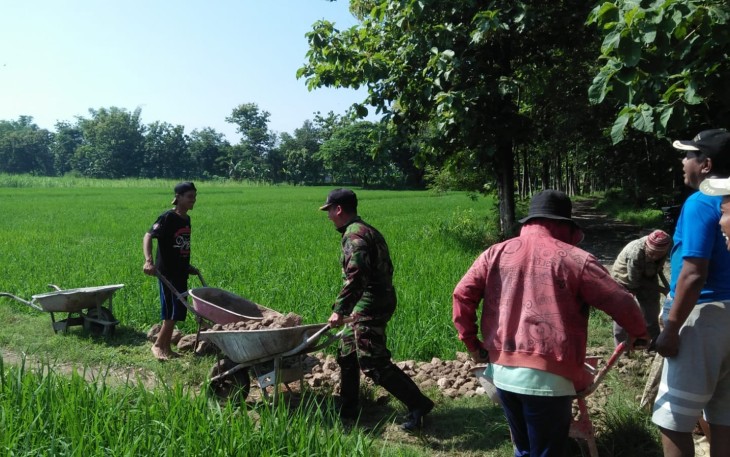 Babinsa Kodim Madiun Bantu Perbaikan Jalan Area Persawahan