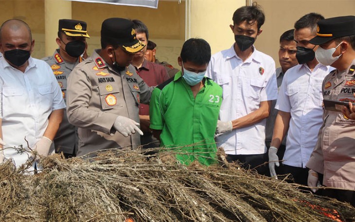 Pemusnahan barang bukti dipimpin langsung oleh Wakapolda Bengkulu Brigjen Pol Drs Agus Salim., Didampingi Wadir Resnarkoba Polda Bengkulu AKBP Tonny Kurniawan, S.Ik., Kabid Berantas BNN Provinsi Bengkulu Kombes Pol Trisaksono Puspo Aji S.Ik., M.Si, Pihak Kajati Provinsi Bengkulu serta dihadiri Kabid Humas Polda Bengkulu Kombes Pol Anuardi, S.Ik., M.Si., Dir Reskrimum Polda Bengkulu serta beberapa PJU Polda Bengkulu.