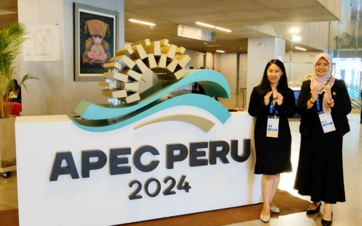APEC PPFS 2024