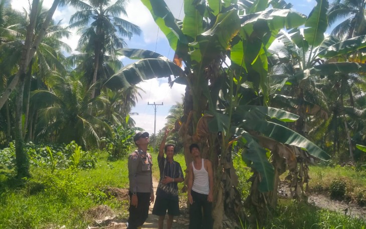 Seorang Pemancing Meregang Nyawa Setelah Tersengat Listrik