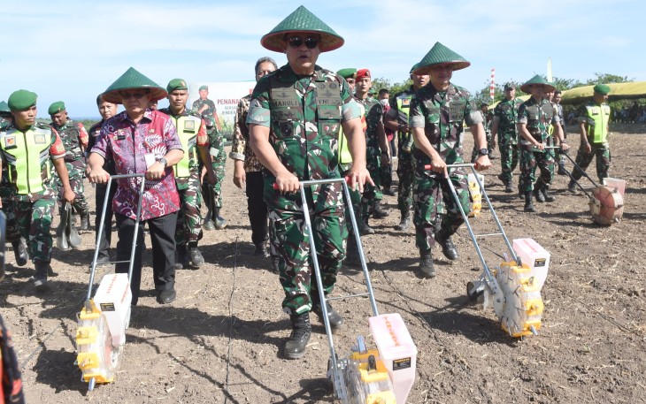 Kepala Staf Angkatan Darat (Kasad) Jenderal TNI Maruli Simanjuntak, M.Sc Tanam Jagung 