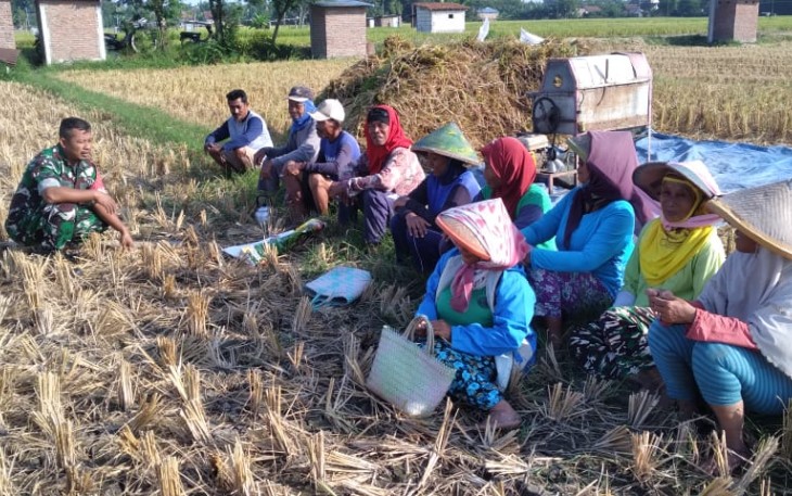 Babinsa Desa Kwangsen saat Himbau Petani Tanam Kedelai atau Jagung Pada Musim Kemarau