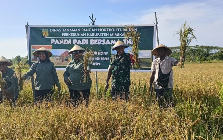 Dandim 1710/Mimika Hadiri Panen Padi Bersama Distan Kab Mimika