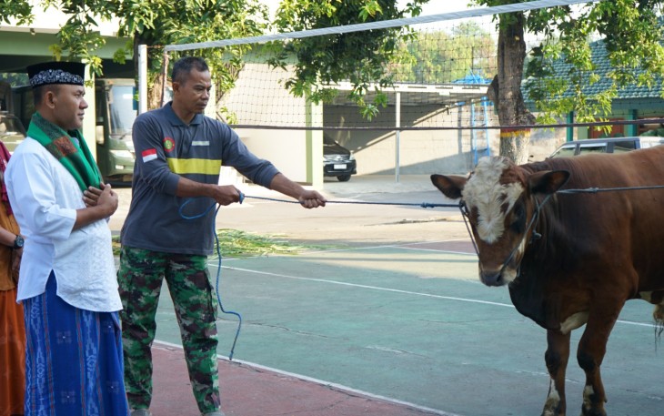 Korem 081/DSJ Salurkan Daging Kuban