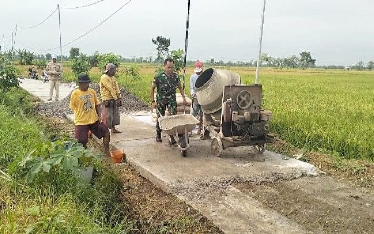 Babinsa Kaibon saat Bantu Masyarakat Rabat Jalan di Area Persawahan