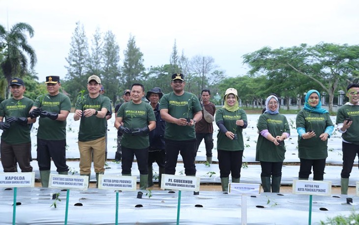 Pj. Gubernur Safrizal didampingi istri Safriati Safrizal yang juga Ketua TP PKK Kep. Babel, Sekda Babel, Forkopimda Babel, instansi vertikal, perwakilan BUMN, pihak perbankan, seluruh Perangkat Daerah di Lingkungan Pemprov. Kep. Babel, dan perwakilan kabupaten/kota, saat penanaman komoditas, Senin (15/1/2024).