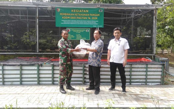 Budidaya ikan lele Kodim Pacitan 