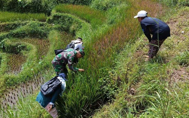 Bantu indentifikasi hawa pertanian warga binaan 
