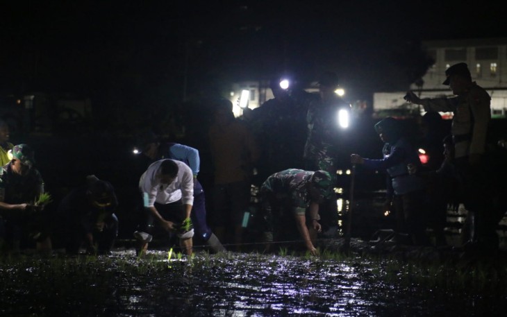 Tanam padi malam hari di Kabupaten Madiun