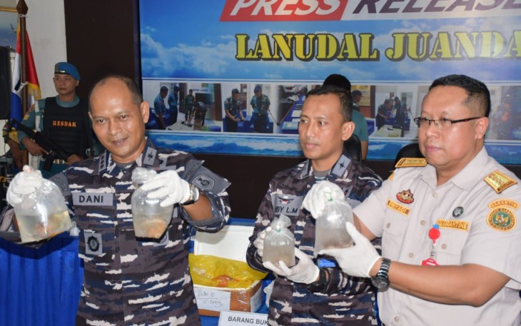 Konferensi pers pengiriman terumbu karang ilegal 