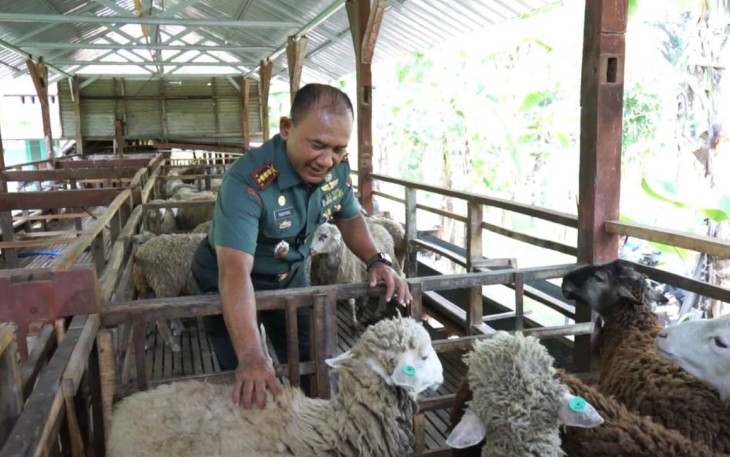 Peternakan domba Korem 081/DSJ