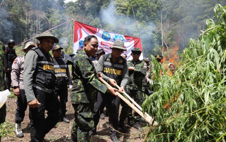 Pemusnahan ladang ganja di Aceh Besar