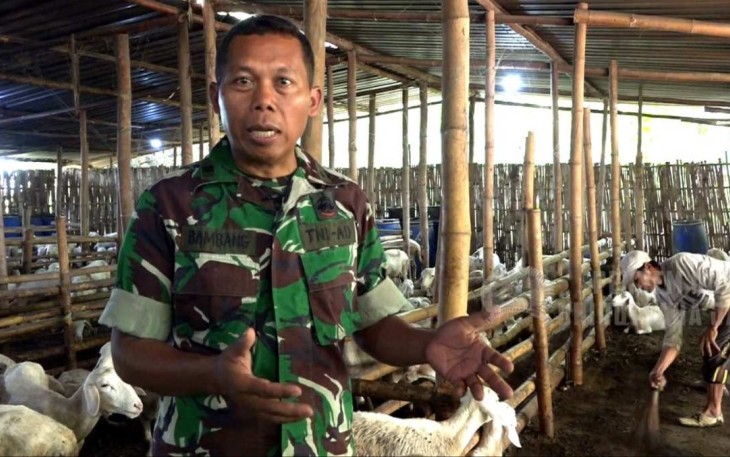 Peltu Bambang saat mengisahkan beternak domba