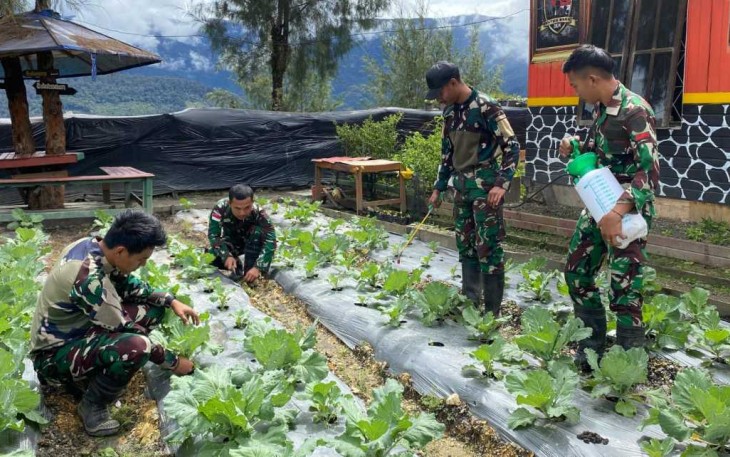 Tanam sayur mayur di pos perbatasan 