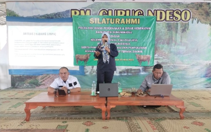 Medik Veteriner UPT. Puskeswan Karangmojo drh. Retno Firdaus Srifiyati menyuntikkan vaksin ke sapi milik Kelompok Peternak Sapi Pali-Pali Jaya di Jaten Ponjong Gunungkidul, Selasa 23 Juli 2024. (Polda DIY, DPKH dan Dinkes Gunungkidul).