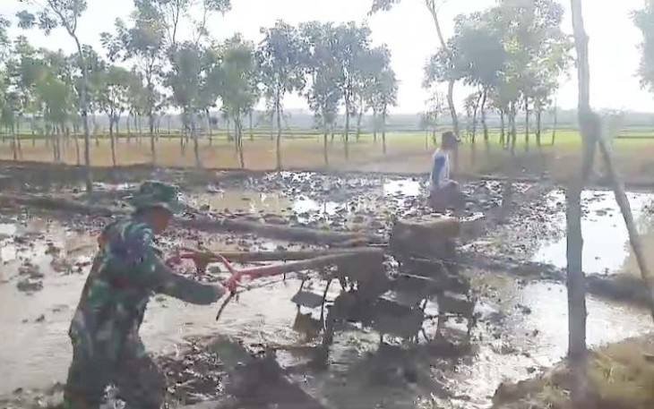 Pendampingan petani wilayah desa binaan 
