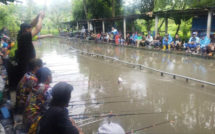 Mabar gurame kolam pancing Sumber Beling Karangploso, Kabupaten Malang, Minggu (29/12)