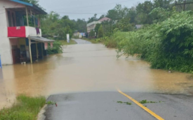 Kondisi banjir yang melanda Desa Nanga Tepuai, Kecamatan Hulu Gunung, Kabupaten Kapuas Hulu, Kalimantan Barat pada Jumat (5/1)