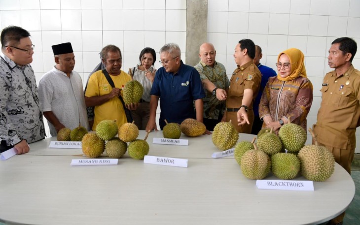 Deputi Bidang UKM KemenKopUKM Hanung Harimba Rachman dalam acara Pelepasan Ekspor Perdana Durian Tahun 2024 di Kabupaten Parigi Moutong, Sulawesi Tengah, Senin (15/01).