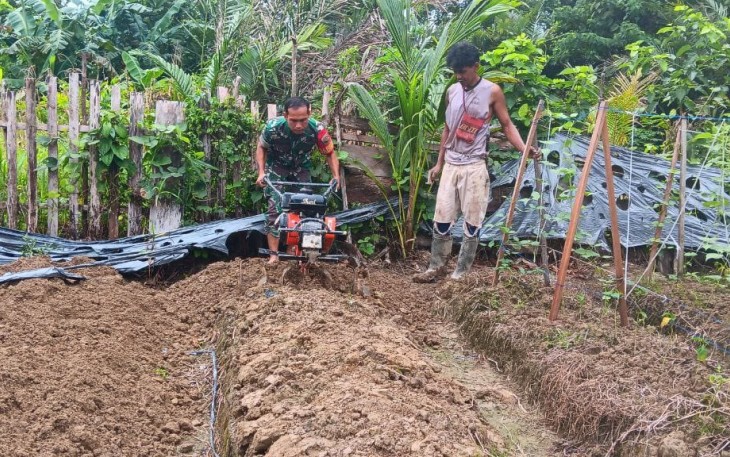Babinsa Koramil 1710-07/Mapurujaya melaksanakan kegiatan ketahanan pangan dengan mendampingi sekaligus membantu petani membajak lahan di Kp. Hiripau, Distrik Mimika Timur, Kabupaten Mimika, Senin (06/05/2024)
