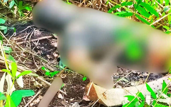 Seorang pria Ditemukan Tewas Membusuk di Kebun Sawit
