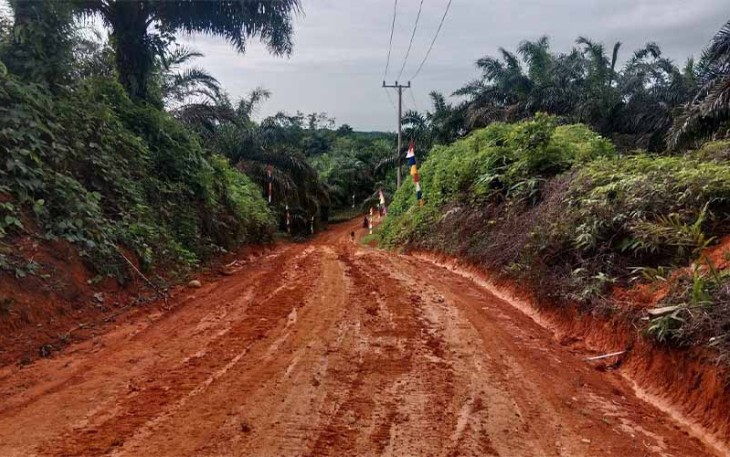 Potret jalan menuju Desa Lubuk Talang (Trans Lapindo), Kecamatan Malin Deman, Kabupaten Mukomuko sebelum dilakukan pengerasan oleh Satgas TMMD Kodim 0428/Mukomuko.