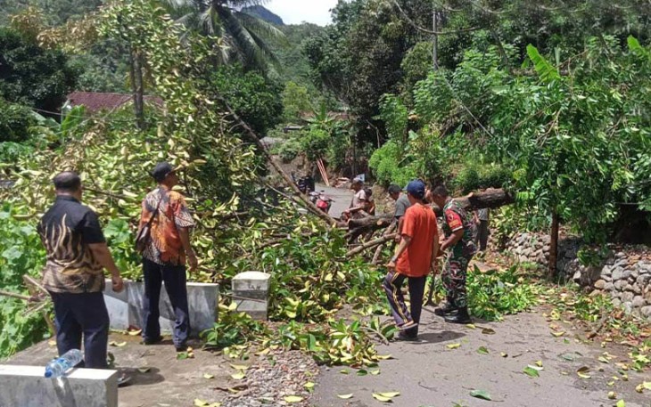 Babinsa Sawahan, Serda Puspo, dari Koramil 0806/07 Watulimo, bersama Pilar Desa dan warga sekitar dengan sigap menanggapi musibah pohon manggis yang tiba-tiba tumbang menimpa rumah Bapak Sugiyono