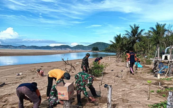 Kodim 0801/Pacitan Lakukan Aksi Tanam Bibit Mangrove