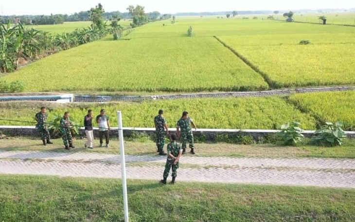 Produktivitas Padi di Mataraman Jawa Timur Meningkat