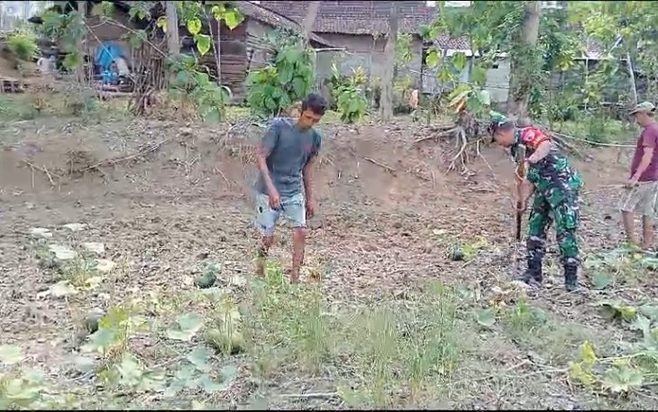 Bersama Warga Binaan Babinsa Koramil Karanganyar Tingkatkan Ketahanan Pangan Dengan Menanam Jagung