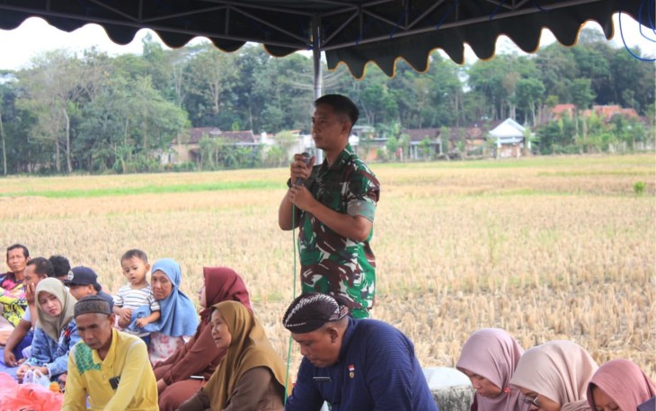 TNI dan Pemkab Trenggalek Guyub Panen Padi