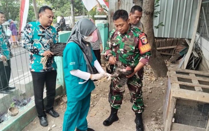 Babinsa Kelun Lakukan Pendampingan Vaksinasi Pengendalian Flu Burung pada Hewan Unggas