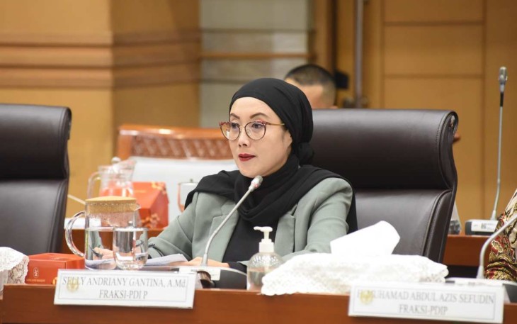 Anggota Komisi VIII DPR RI Selly Andriany Gantina