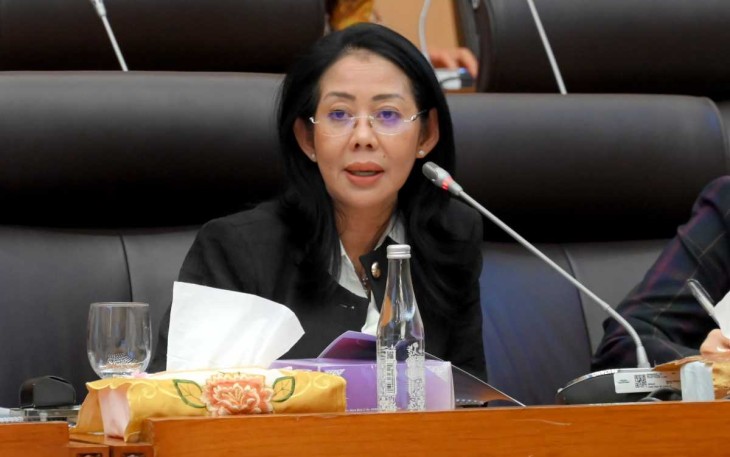 Anggota Komisi XII DPR RI Nurwayah