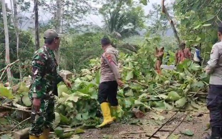 Babinsa Koramil Tulakan saat Bersihkan Pohon Tumbang.