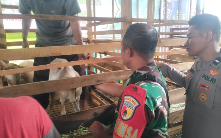 Babinsa Kelurahan Nambangan Kidul Dukung Vaksinasi PMK di Kota Madiun
