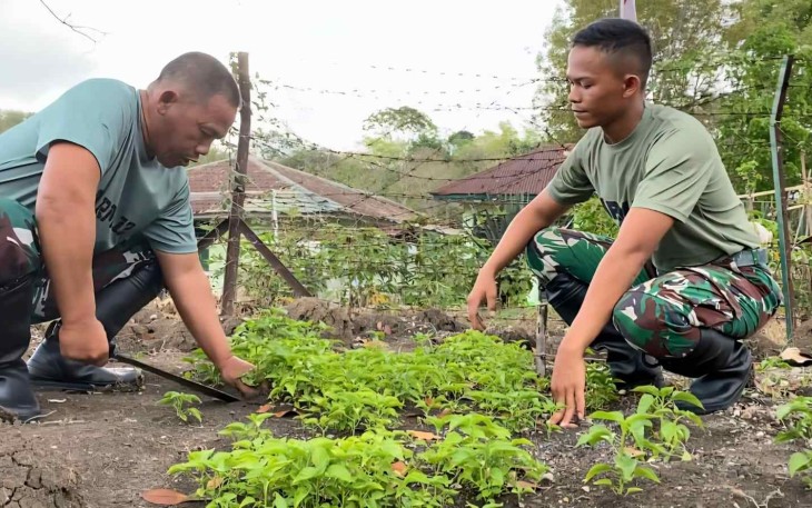Program ketahanan pangan Satgas Yonarmed 12 Kostrad 