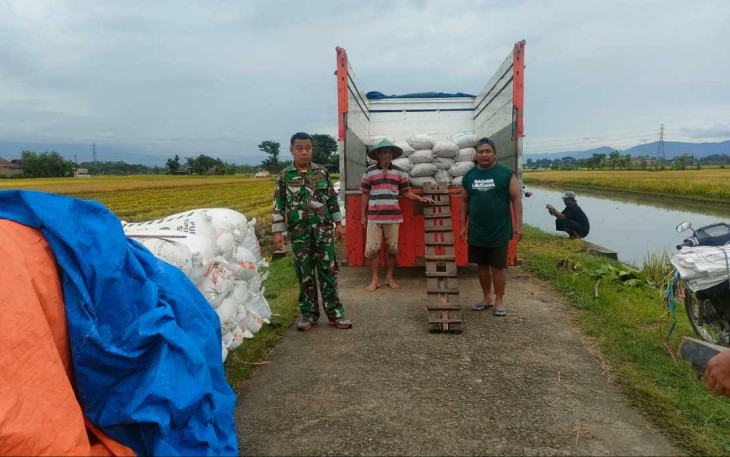 Bulog serap gabah petani desa binaan 