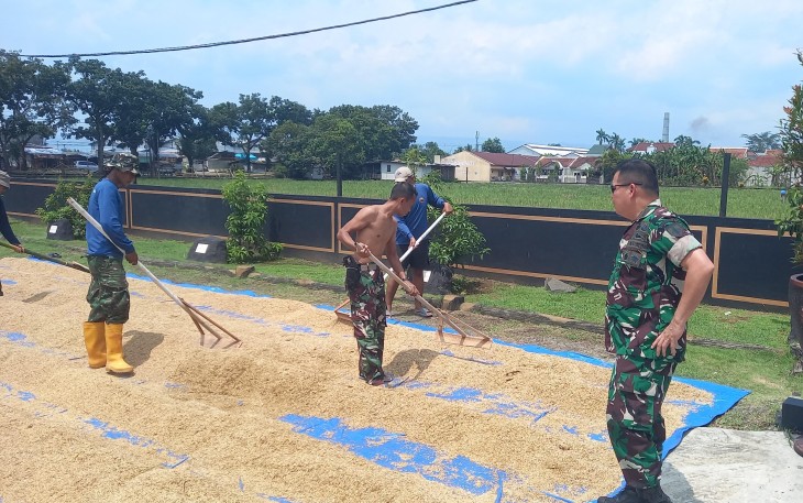 Danrem 071/Wijayakusuma Terjun Langsung Penjemuran Gabah Guna Percepatan Penyerapan Beras dan Penguatan Ketahanan Pangan