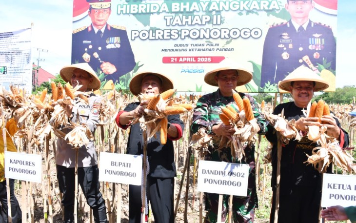 Dandim Ponorogo Hadiri Panen Raya Jagung Hibrida Bhayangkara Tahap II Polres Ponorogo