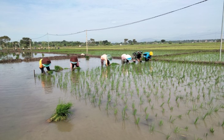 Tanam padi bersama warga binaan