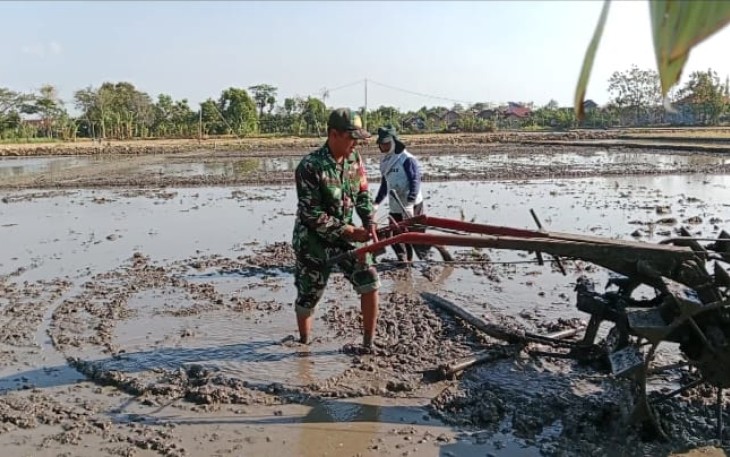 Pengolahan lahan pertanian petani desa binaan