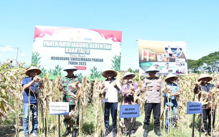 Dandim Ponorogo Ikut Panen Raya Jagung Serentak Kuartal II