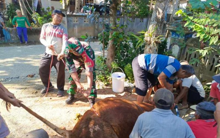 Penyembelihan hewan qurban di wilayah desa binaan 
