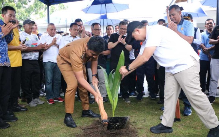 Penanaman kelapa hibrida 