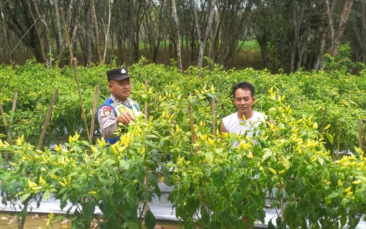 Personel Polsek Belitang III Laksanakan Pendampingan Pengecekan Lahan Warga
