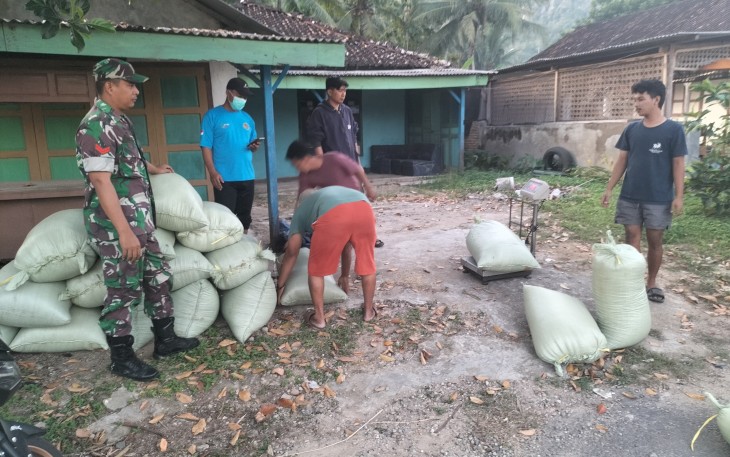 Babinsa Koramil 0801/03 Arjosari Terjun Lapangan Pastikan Harga Gabah Petani Sesuai Standar