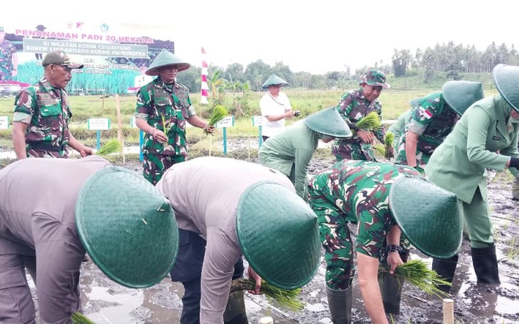 Danrem 131/Santiago, Brigjen TNI Martin Susilo Turnip, S.H.,M.H, memimpin kegiatan penanaman padi dilahan ketahanan pangan Kodim 1310/Bitung, Korem 131/Stg, Kodam XIII/Merdeka yang berlokasi diwilayah Kelurahan Tanjung Merah, Kecamatan Matuari Kamis, (21/8/25)