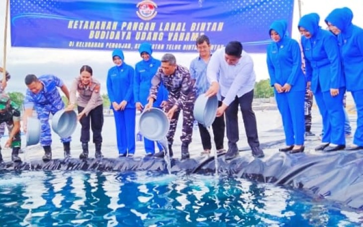 Lanal Bintan Bersama Pemkab Lakukan Penaburan Benih Udang Vaname